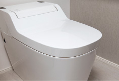 Brillia 目黒碑文谷  Sanitary 水周り アラウーノS