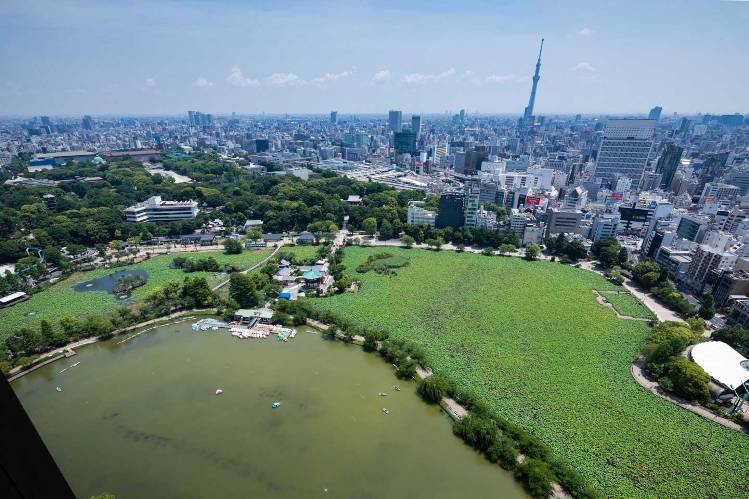 Brillia Tower 上野池之端　その他の画像