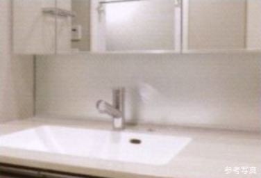 Brillia大井町 The Residence　Powder Room　洗面室　フロストミラー