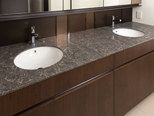 Brillia 高輪 The Court　Powder Room・Bath Room　洗面室・浴室　2ボウルの洗面化粧台