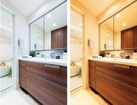 Brillia 品川戸越 耀邸　洗面室