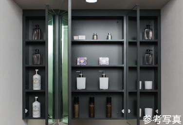 Brillia 東中野ステーションフロント　Powder Room　洗面・トイレ　センターボウル＋三面鏡