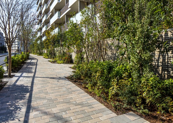 Brillia 大山 Park Front　ランドスケープ　サウス・プロムナード