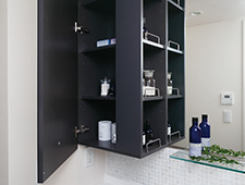 Brillia 品川キャナルサイド　Sanitary　水周り　鏡裏収納