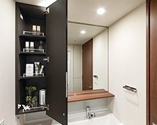 Brillia 向ヶ丘遊園　Sanitary　水周り　鏡面裏収納