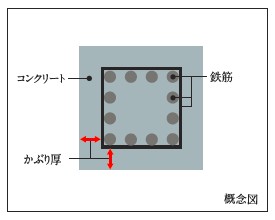 Brillia 向ヶ丘遊園　Structure　構造　コンクリートかぶり厚