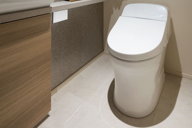 Brillia 久が原　Powder Room　洗面・トイレ　節水トイレ