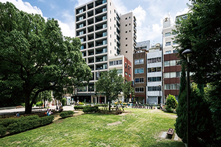 Brillia 秋葉原　公園