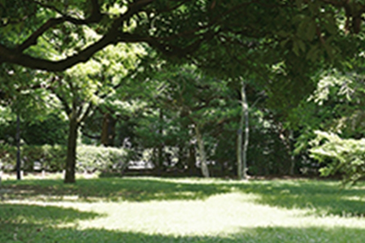 Brillia 一番町　北の丸公園