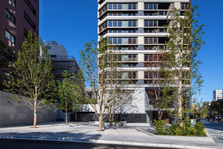 Brillia 一番町　街と調和し、人の想いを育む植栽