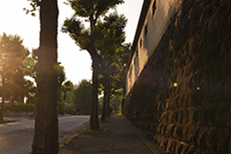 Brillia 一番町　英国大使館