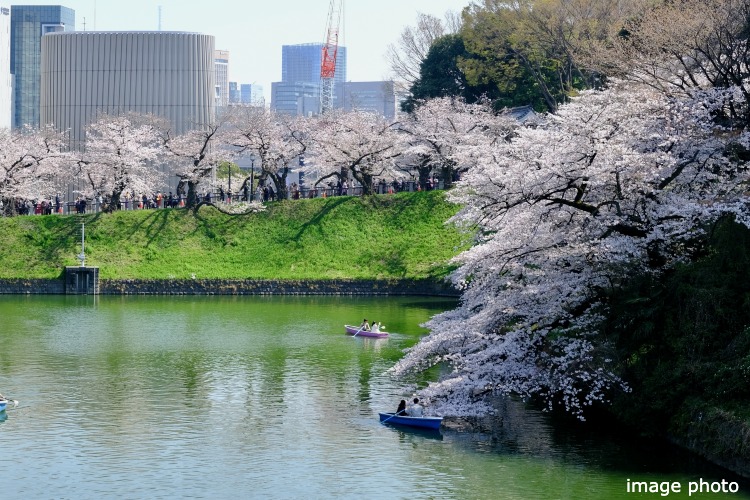 Brillia 一番町　公園・遊歩道