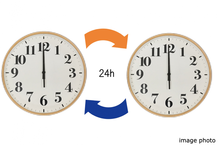 Brillia 一番町　24時間対応各階ゴミ置き場