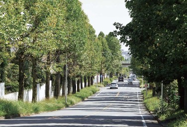 Brillia 美しが丘　<div style="text-align:center;">ユリノキ通り</div><div style="text-align:center;">（約1320m／徒歩17分）</div>