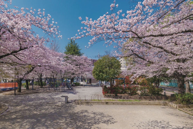 Brillia 品川南大井　公園