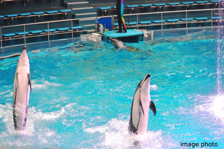 Brillia 品川南大井　スポーツ・レジャー・文化施設