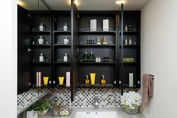 Brillia 東中野 Parkside Hills　Powder Room　洗面・トイレ　鏡裏収納