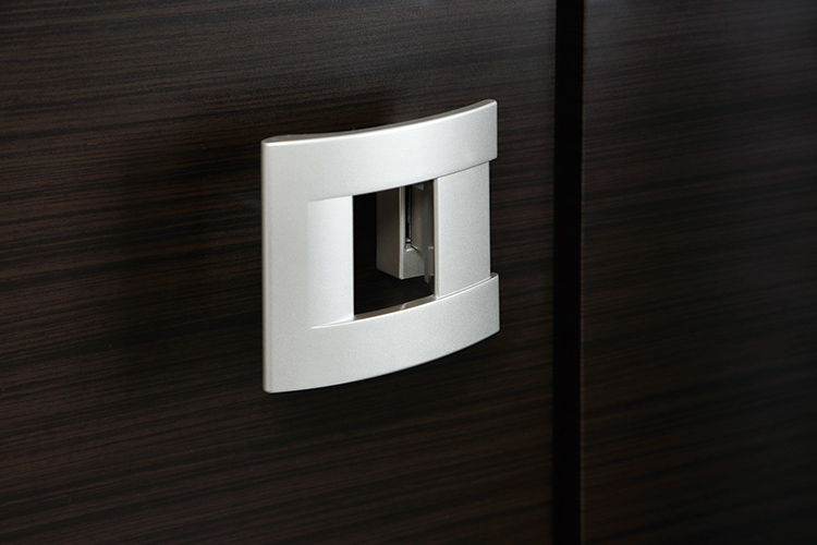 Brillia 東中野 Parkside Hills　プッシュプルハンドル扉