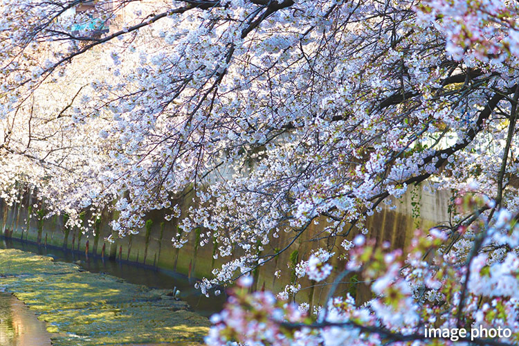 Brillia 東中野 Parkside Hills　この地が辿ってきた歴史