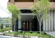 Brillia 成増 Season Terraceのフォトギャラリー：エントランス[1]