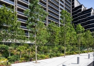 Brillia City 西早稲田のフォトギャラリー：外構