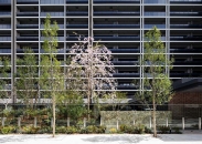 Brillia City 西早稲田のフォトギャラリー：外構