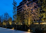 Brillia City 西早稲田のフォトギャラリー：外構