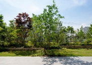 Brillia City 西早稲田のフォトギャラリー：インナーフォレスト