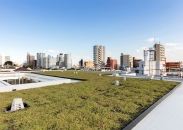 Brillia 旗の台のフォトギャラリー：外構