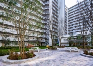 シントシティのフォトギャラリー：中庭