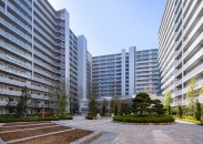 シントシティのフォトギャラリー：中庭