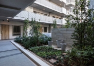 シントシティのフォトギャラリー：中庭