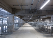 シントシティのフォトギャラリー：駐輪場