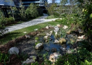 グランドメゾン新梅田タワーのフォトギャラリー：外構