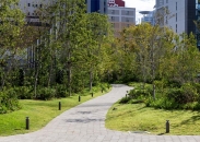 グランドメゾン新梅田タワーのフォトギャラリー：外構