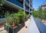 Brillia 自由が丘のフォトギャラリー：２階屋根緑化