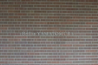 Brillia 大和郷のフォトギャラリー：エントランス