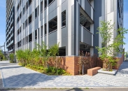 Brillia Tower 前橋のフォトギャラリー：歩道状空地