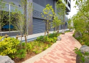 Brillia Tower 前橋のフォトギャラリー：グリーンプロムナード