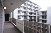 Brillia 品川中延 のフォトギャラリー：共用部