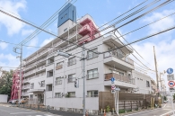 石神井公園マンションのフォトギャラリー：外観