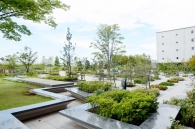 Brillia Mare 有明 TOWER&GARDENのフォトギャラリー：外構