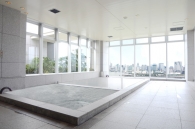 Brillia Mare 有明 TOWER&GARDENのフォトギャラリー：スパ