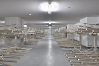 Brillia Mare 有明 TOWER&GARDENのフォトギャラリー：共用部