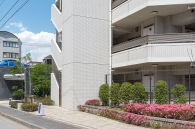 Brillia 葛西のフォトギャラリー：外構