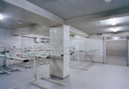 Brillia 駒込染井のフォトギャラリー：駐輪場