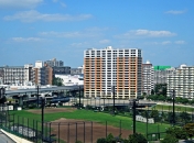 Brillia 大島小松川公園のフォトギャラリー：遠景