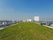 Brillia 大島小松川公園のフォトギャラリー：共用部