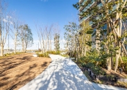 Brillia 聖蹟桜ヶ丘 BLOOMING TERRACEのフォトギャラリー：エントランスガーデン