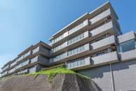 東建ニューハイツ緑園都市のフォトギャラリー：外観